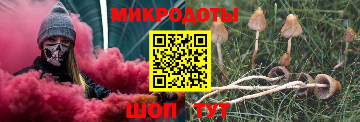 Галлюциногенные грибы Psilocybe  Галлюциногенные грибы Psilocybine cubensis  Рассказово  Вход с VPN 
