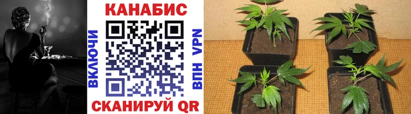 наркошоп  Рассказово  Шишки марихуана план 